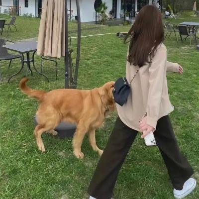 脚下的土地
